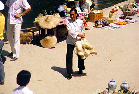 Live chickens being carried to market in Kweilin. China.