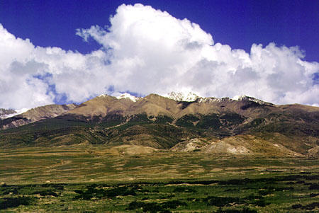 Yak range in Tibet. China.