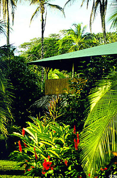 Tortuguero Lodge, tucked away in dense forest in Tortuguero. Costa Rica.