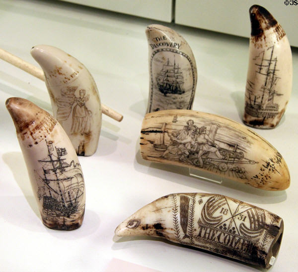 Scrimshaw collection typically created by whalers from the byproducts of whales or walrus tusks at International Maritime Museum. Hamburg, Germany.