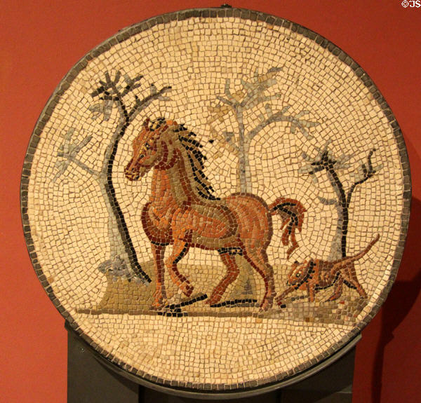 Copy of Roman floor mosaic medallion of horse & dog (early 3rdC) at Trier Archaeological Museum. Trier, Germany.