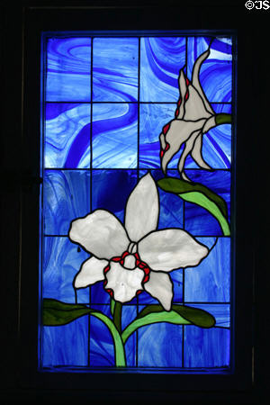 Methodist church stained glass window of orchid. Roseau, Dominica.