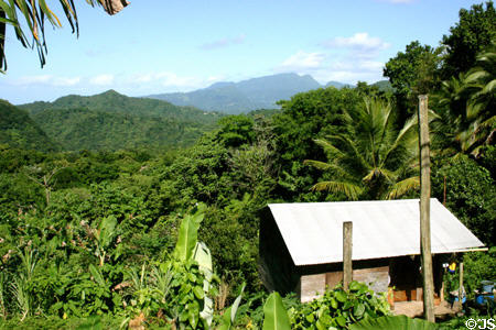 Landscape crossing central ridge of Dominica.