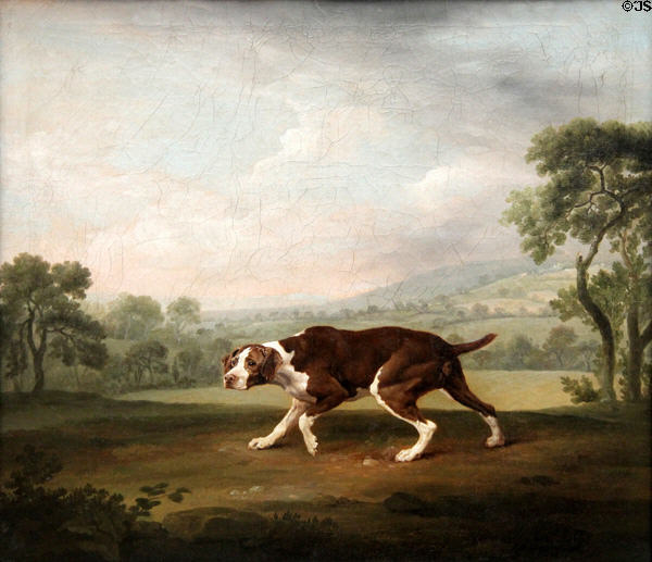 The Pointer dog painting (c1760) by George Stubbs at Neue Pinakothek. Munich, Germany.