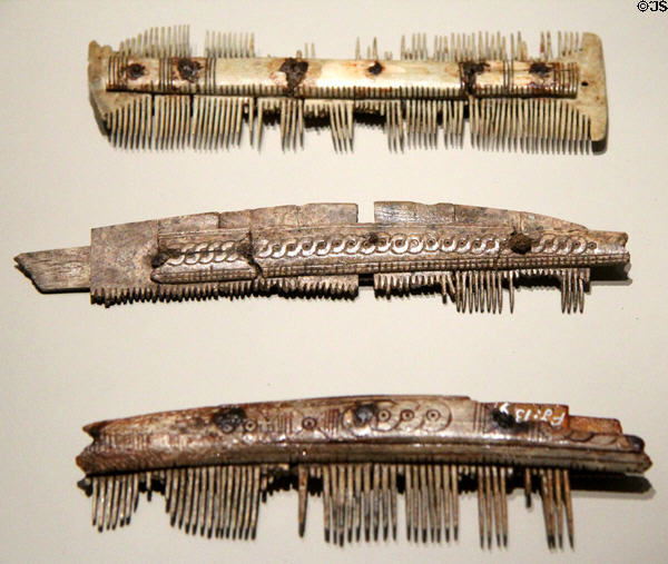 Antique bone combs at Germanisches Nationalmuseum. Nuremberg, Germany.