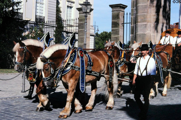 Draft horses in fancy tack driven by men in traditional dress participating in town pageant. Ansbach, Germany.