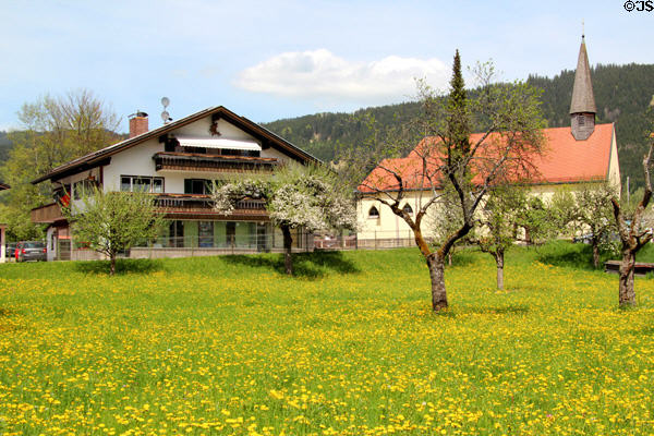 Flowering meadow with country church & traditional style building. Oberammergau, Germany.