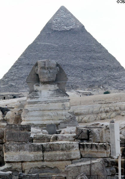 The Sphinx in front of Pyramid of Chephren (Wer-Khefre) with original casing at the top. Giza, Egypt.