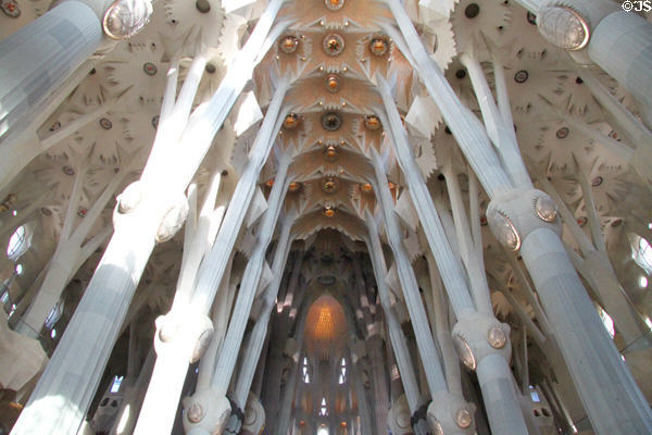 Ceiling in Sagrada Familia. Barcelona, Spain.