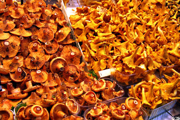 Mushrooms at Mercat St Josep. Barcelona, Spain.