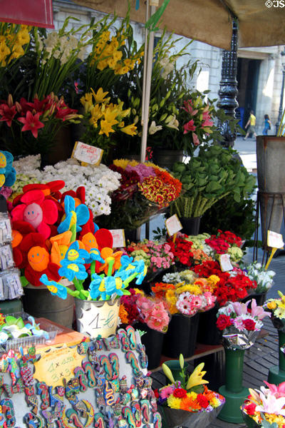 Flower market on la Rambla. Barcelona, Spain.