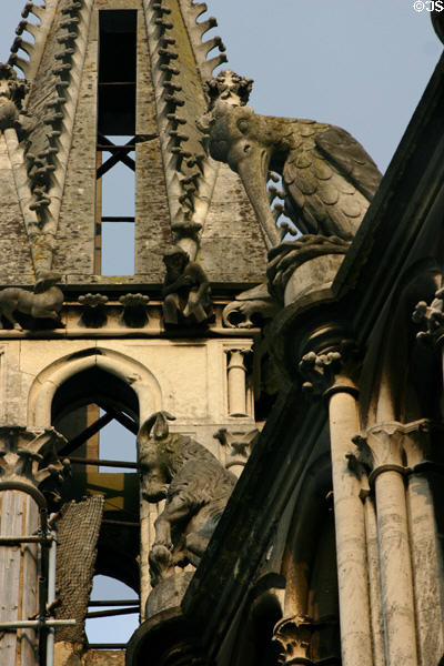 Long-beaked bird gargoyle on Cathedral. Reims, France.
