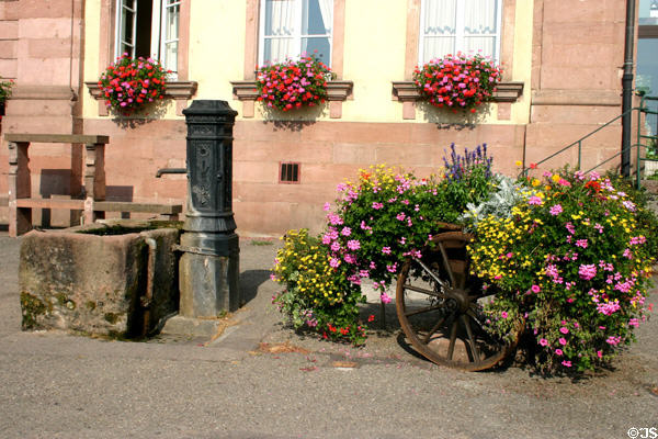 Flowers & water pump. Riquewihr, France.