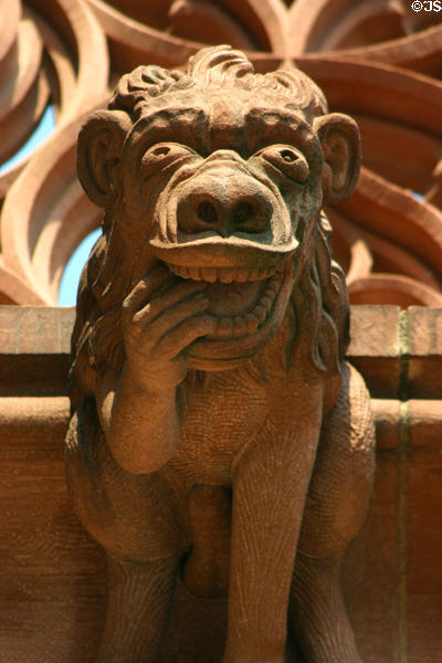 Lion gargoyle on Cathedral. Strasbourg, France.