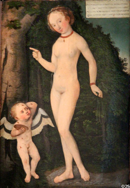Venus with Cupid stealing honey painting (c1535) by Lucas Cranach of Germany at Museum of Decorative Arts. Paris, France.