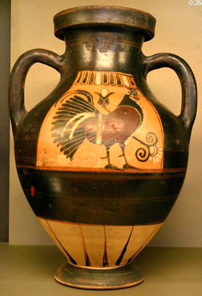 Corinthian terracotta amphora with painted rooster (575-550 BCE) at Louvre Museum. Paris, France.