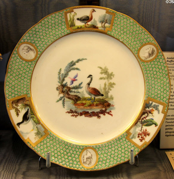 Sèvres porcelain "aux oiseaux Buffon" pattern plate (1784) at Sèvres National Ceramic Museum. Paris, France.