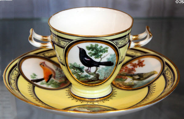Sèvres porcelain cup & saucer painted with birds (1793-9) at Sèvres National Ceramic Museum. Paris, France.