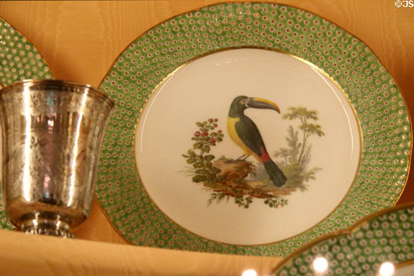 Sèvres Buffon porcelain dinner plate with toucan (1784-6) at Nissim de Camondo Museum. Paris, France.
