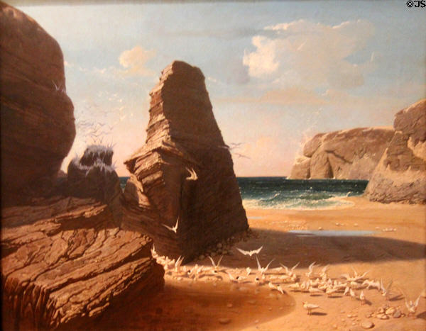 Gulls on shore of Belle-Isle en mer Port Donnant painting (1858) by Octave Penguilly l'Haridon at Museum of Fine Arts of Rennes. Rennes, France.