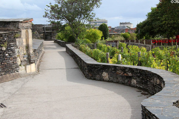 Parapet walk on ramparts of Angers Chateau. Angers, France.