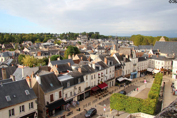 Amboise viewed from Royal Chateau of Amboise. Amboise, France.