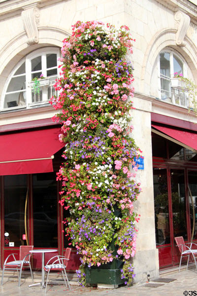 Column of flowers on Place St Croix. France.