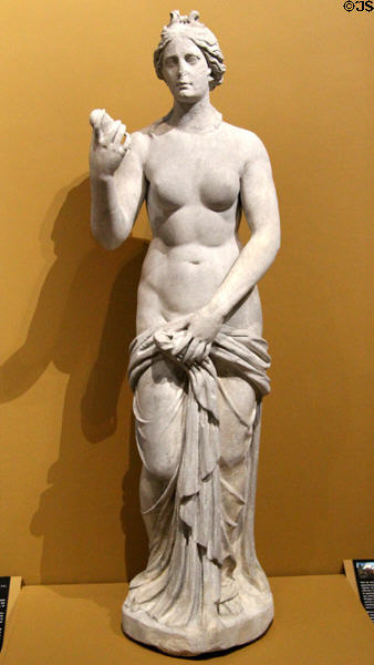 Roman statue of Venus copy (1st-2ndC CE) of Greek original (3rd-2ndC BCE) at Orleans Beaux Arts Museum. Orleans, France.