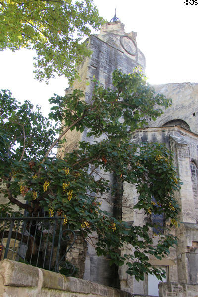 Cordeliers convent church (14thC) on rue des Teinturiers. Avignon, France.