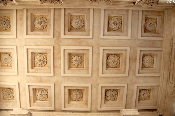 Porch ceiling with relief carvings of rosettes of Maison Carrée. Nimes, France.