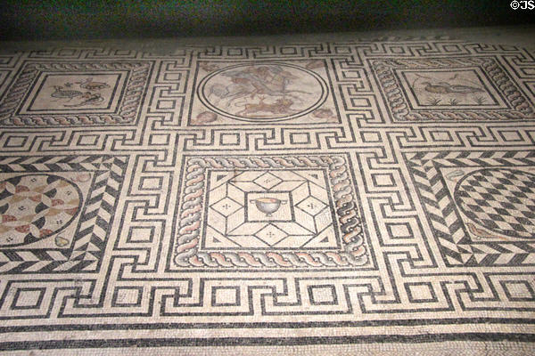 Roman mosaic floor with various squares (c1st-2ndC) from Nimes at Musée de la Romanité. Nimes, France.