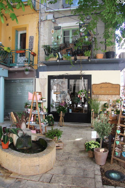Courtyard of florist shop. Orange, France.