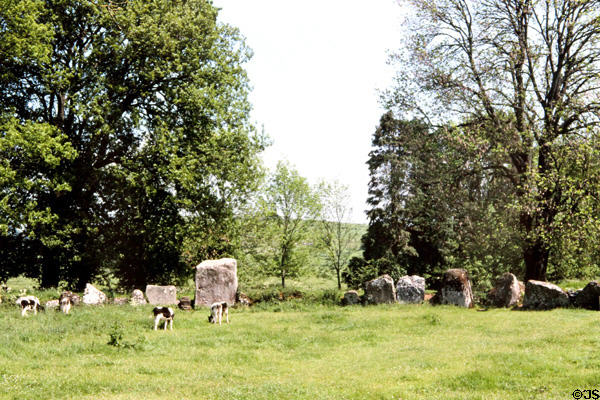 Prehistoric Grange Circle of standing stones near Lough Gur. Ireland.