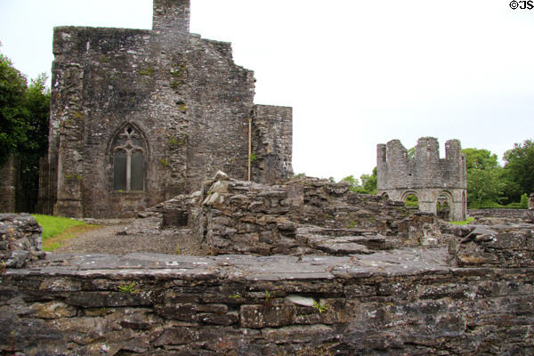 Chapter house & Lavabo at Old Mellifont Abbey. Ireland.