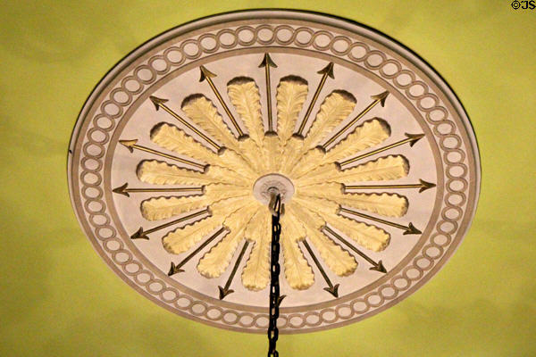 Drawing room ceiling roundel decorated with feathers & arrows at Emo Court. Ireland.