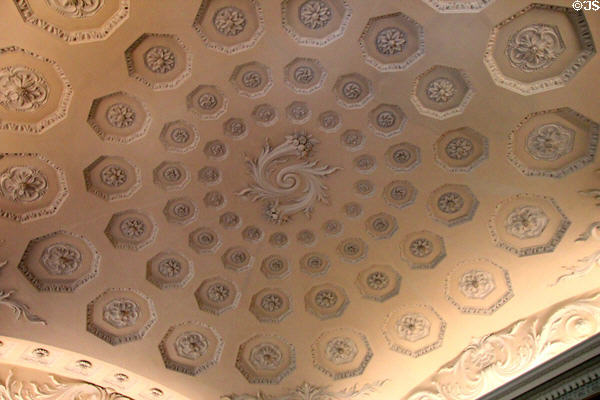 Music room sculpted ceiling by Lafranchini Brothers at Russborough House. Ireland.