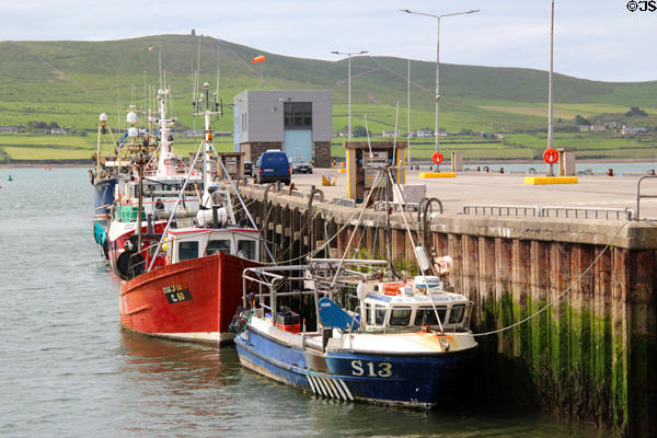 Fishing boat tied up to pier at Dingle. Dingle, Ireland.