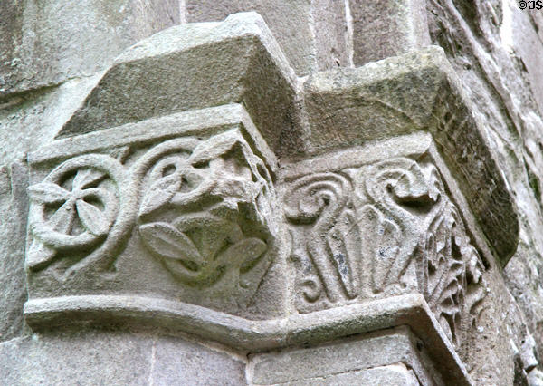 Carved border at Boyle Abbey. Knocknashee, Ireland.