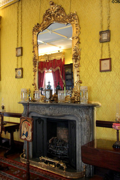 Mirror over parlor fireplace at Kilkenny Castle. Ireland.