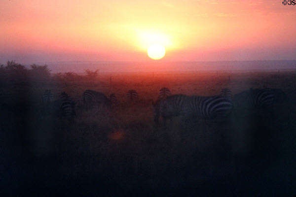 Sunrise over Amboseli National Park. Kenya.