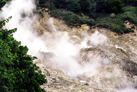 Steam erupts from the Sulphur Springs volcanic park near Soufrière. St Lucia.