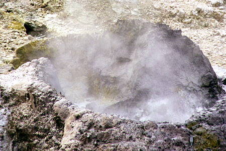 Sulfur and other minerals ring a steaming vent in Sulphur Springs Park near Soufrière. St Lucia.