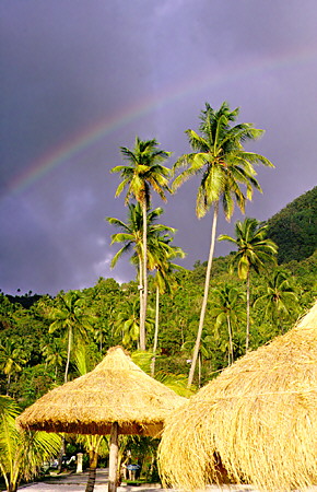 Rainbow above the beach at the Jalousie Hilton Resort near Soufrière. St Lucia.