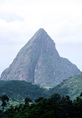 Petit piton seen from the rain forest east of Soufrière. St Lucia.