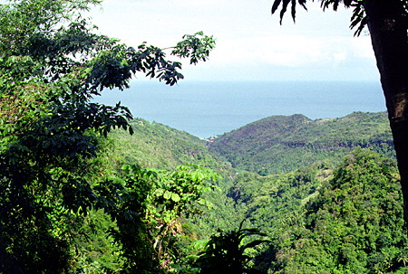 View of the Caribbean from the rain forest north of Soufrière. St Lucia.