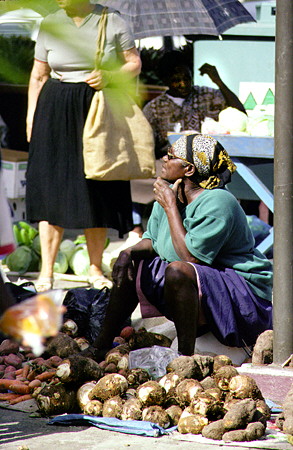 Roots for sale at Castries Market. St Lucia.