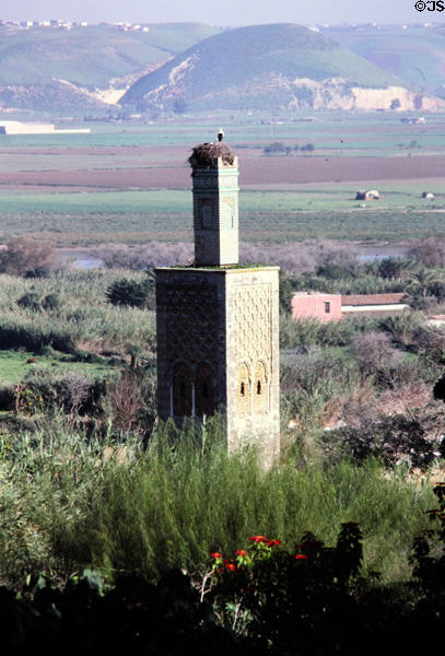Chellah medieval fortified Muslim necropolis with minaret (13thC) with landscape beyond. Rabat, Morocco.