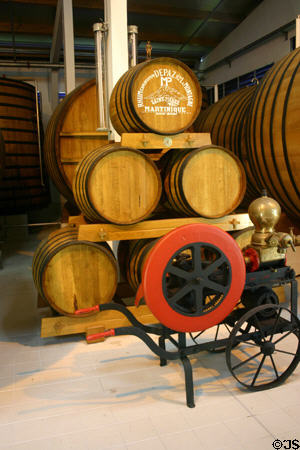 Aging barrels at Depaz rum distillery. Martinique.