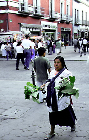 Native leaf seller walks streets of Puebla. Mexico.