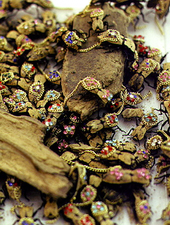 Jeweled bugs for sale to be worn live as broaches at Mérida market. Mexico.